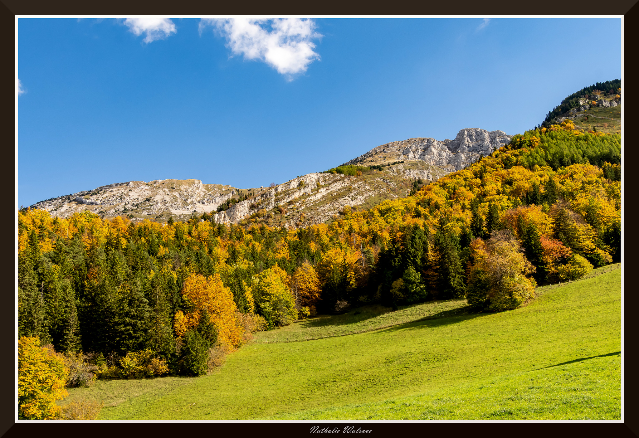 paysage d'automne